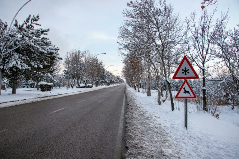 pexels megastasyon 15441459